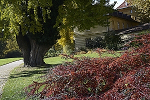 lancut-10.jpg
