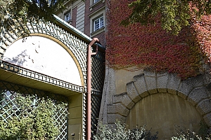 lancut-14.jpg