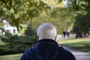 lancut-18.jpg
