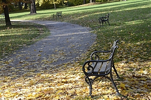 lancut-20.jpg