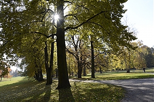 lancut-24.jpg