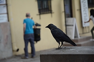 lublin_058.jpg