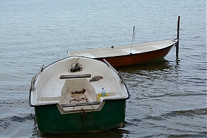 Nazwa pliku=okuninka_027.jpg
Wielkość pliku=341KiB
Rozmiar=780x520
Data dodania= 31, Sierpień 2015 okuninka_027.jpg