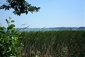 Nazwa pliku=okuninka_042.jpg
Wielkość pliku=398KiB
Rozmiar=780x520
Data dodania= 31, Sierpień 2015 okuninka_042.jpg