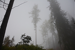 Nazwa pliku=popradske_pleso_002.jpg
Wielkość pliku=247KiB
Rozmiar=780x520
Data dodania= 17, Październik 2015 popradske_pleso_002.jpg