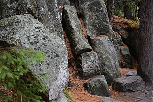 Nazwa pliku=popradske_pleso_010.jpg
Wielkość pliku=472KiB
Rozmiar=780x520
Data dodania= 17, Październik 2015 popradske_pleso_010.jpg