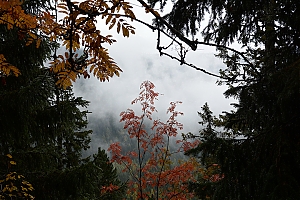 Nazwa pliku=popradske_pleso_011.jpg
Wielkość pliku=418KiB
Rozmiar=780x520
Data dodania= 17, Październik 2015 popradske_pleso_011.jpg