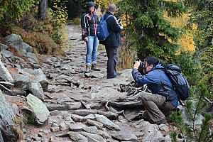 Nazwa pliku=popradske_pleso_015.jpg
Wielkość pliku=490KiB
Rozmiar=780x520
Data dodania= 17, Październik 2015 popradske_pleso_015.jpg