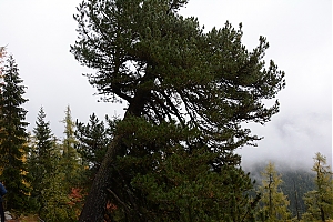 Nazwa pliku=popradske_pleso_016.jpg
Wielkość pliku=388KiB
Rozmiar=780x520
Data dodania= 17, Październik 2015 popradske_pleso_016.jpg
