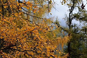 Nazwa pliku=popradske_pleso_017.jpg
Wielkość pliku=519KiB
Rozmiar=780x520
Data dodania= 17, Październik 2015 popradske_pleso_017.jpg