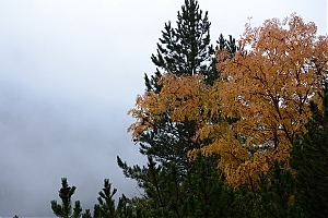 Nazwa pliku=popradske_pleso_018.jpg
Wielkość pliku=362KiB
Rozmiar=780x520
Data dodania= 17, Październik 2015 popradske_pleso_018.jpg