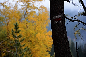 Nazwa pliku=popradske_pleso_019.jpg
Wielkość pliku=335KiB
Rozmiar=780x520
Data dodania= 17, Październik 2015 popradske_pleso_019.jpg