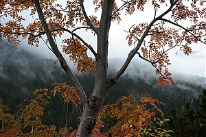 Nazwa pliku=popradske_pleso_023.jpg
Wielkość pliku=459KiB
Rozmiar=780x520
Data dodania= 17, Październik 2015 popradske_pleso_023.jpg