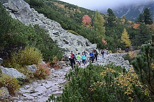 Nazwa pliku=popradske_pleso_026.jpg
Wielkość pliku=513KiB
Rozmiar=780x520
Data dodania= 17, Październik 2015 popradske_pleso_026.jpg