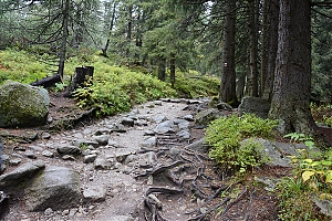Nazwa pliku=popradske_pleso_028.jpg
Wielkość pliku=542KiB
Rozmiar=780x520
Data dodania= 17, Październik 2015 popradske_pleso_028.jpg