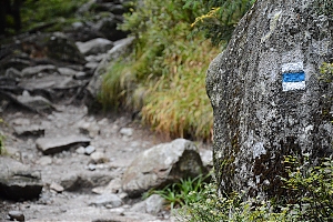 Nazwa pliku=popradske_pleso_036.jpg
Wielkość pliku=406KiB
Rozmiar=780x520
Data dodania= 17, Październik 2015 popradske_pleso_036.jpg