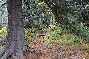 Nazwa pliku=popradske_pleso_037.jpg
Wielkość pliku=560KiB
Rozmiar=780x520
Data dodania= 17, Październik 2015 popradske_pleso_037.jpg