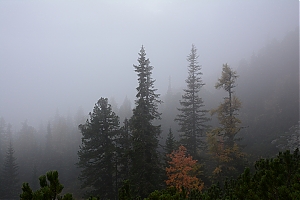 Nazwa pliku=popradske_pleso_042.jpg
Wielkość pliku=233KiB
Rozmiar=780x520
Data dodania= 17, Październik 2015 popradske_pleso_042.jpg