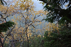 popradske_pleso_048.jpg
