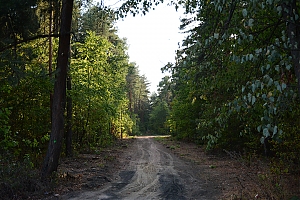 Nazwa pliku=szczytnica_krzywa_014.jpg
Wielkość pliku=446KiB
Rozmiar=780x520
Data dodania= 31, Sierpień 2015 szczytnica_krzywa_014.jpg