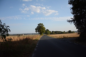Nazwa pliku=szczytnica_krzywa_016.jpg
Wielkość pliku=277KiB
Rozmiar=780x520
Data dodania= 31, Sierpień 2015 szczytnica_krzywa_016.jpg