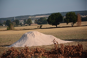 Nazwa pliku=szczytnica_krzywa_018.jpg
Wielkość pliku=381KiB
Rozmiar=780x520
Data dodania= 31, Sierpień 2015 szczytnica_krzywa_018.jpg