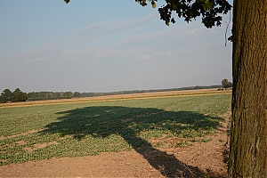 Nazwa pliku=szczytnica_krzywa_020.jpg
Wielkość pliku=333KiB
Rozmiar=780x520
Data dodania= 31, Sierpień 2015 szczytnica_krzywa_020.jpg